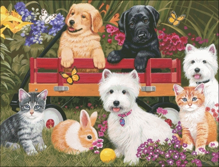 A generic image